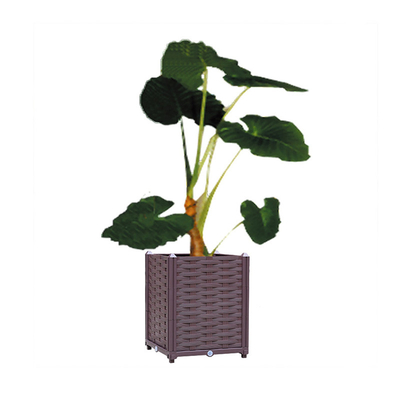 плантатор 40*40*37cm пластиковый квадратный кладет пластиковый легковес в коробку плантаторов Veg