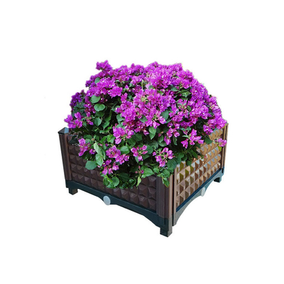 Внутренние коробки плантатора глубины 15cm пластиковые поднятые