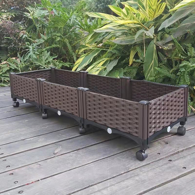 кровать сада сада травы 120cm*40cm*23cm пластиковым поднятая плантатором с рицинусами
