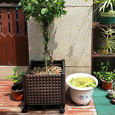 Drainable катят патио, который доказательство насекомого коробки плантатора прямоугольника коробки плантатора пластиковое