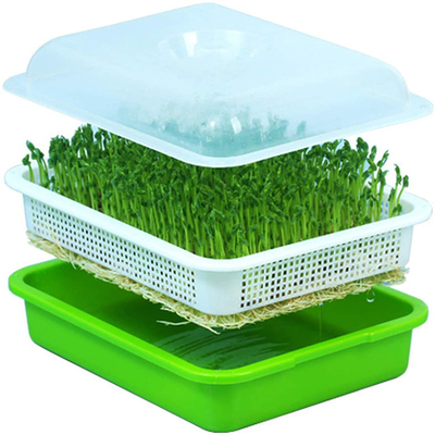 Семьи качества еды используют Hydroponic семя начиная подносы длина 12,2 дюймов