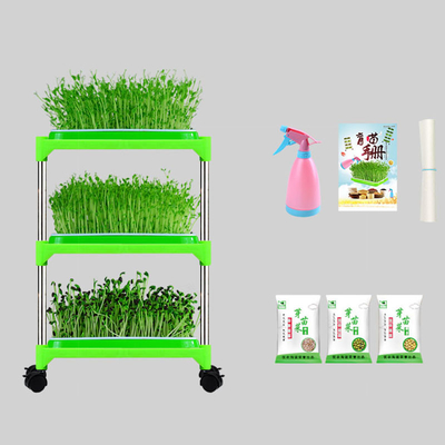 Крытая стойка подноса саженца Pp Hydroponic для семьи коррозионностойкой